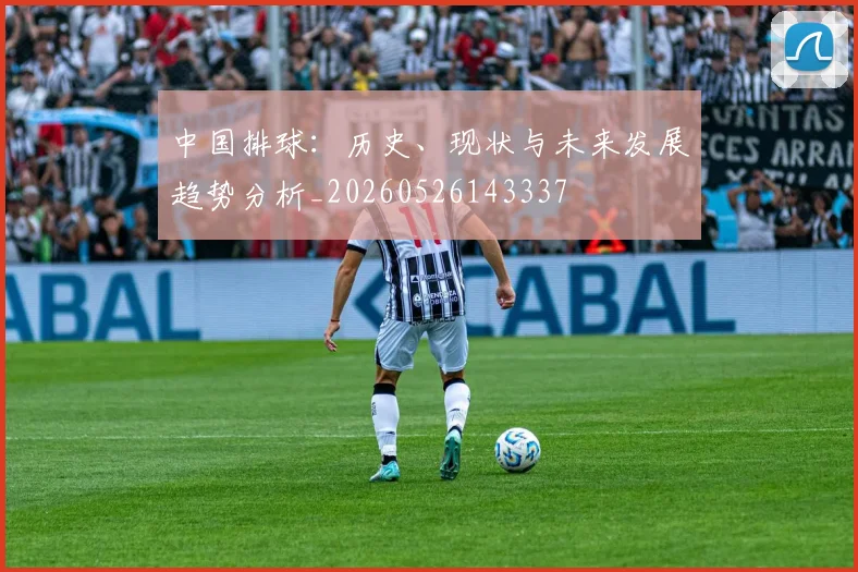 中国排球：历史、现状与未来发展趋势分析_20260526143337