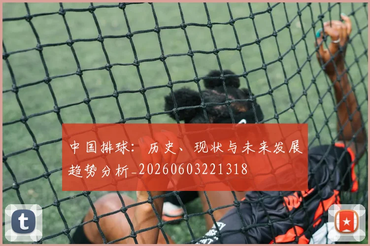 中国排球:历史、现状与未来发展趋势分析_20260603221318