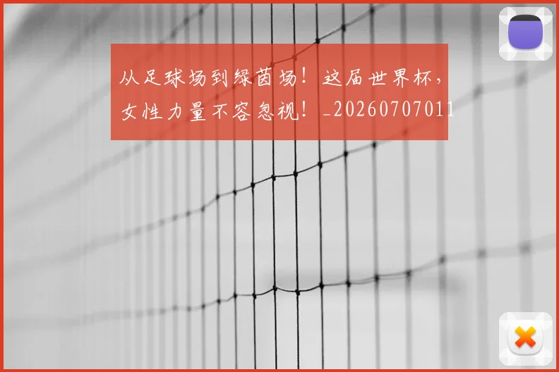 从足球场到绿茵场！这届世界杯，女性力量不容忽视！_20260707011707
